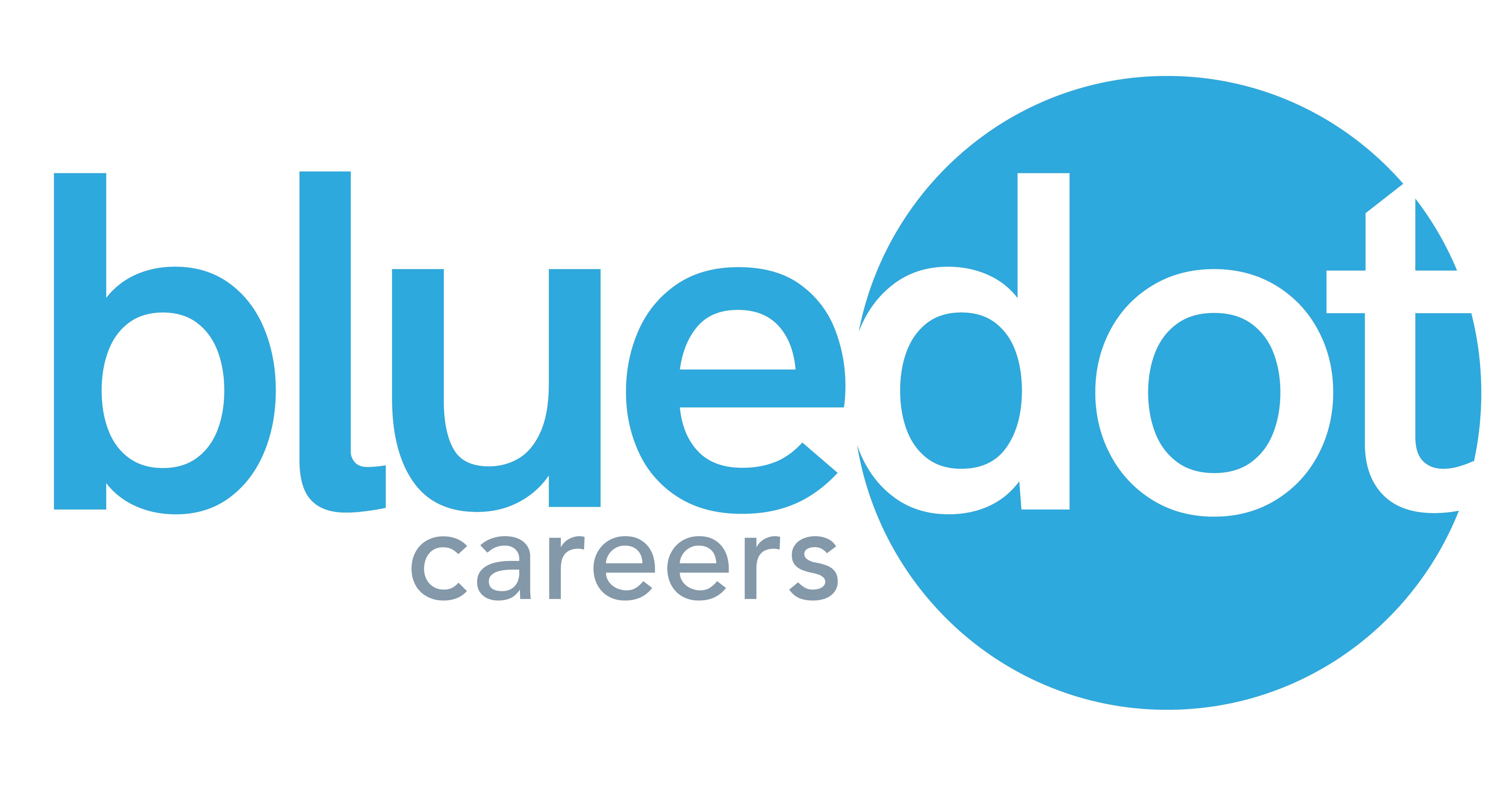 Logo of bluedot careers